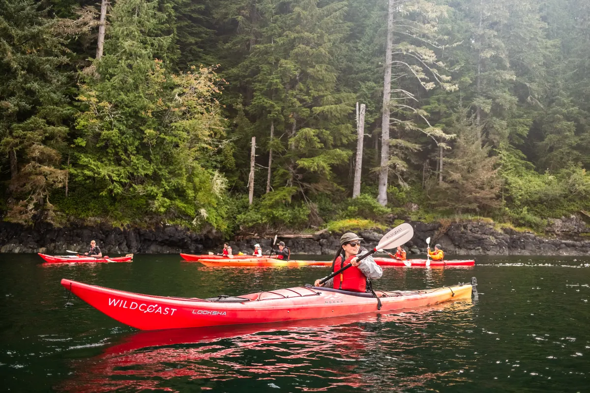 A group of sea kayakers paddles below a shoreline of misty rainforest.